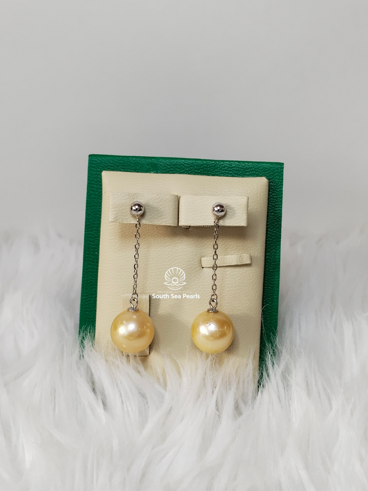 12mm Palawan Authentic Champagne Color South Sea Pearls Earrings in S925 Settings