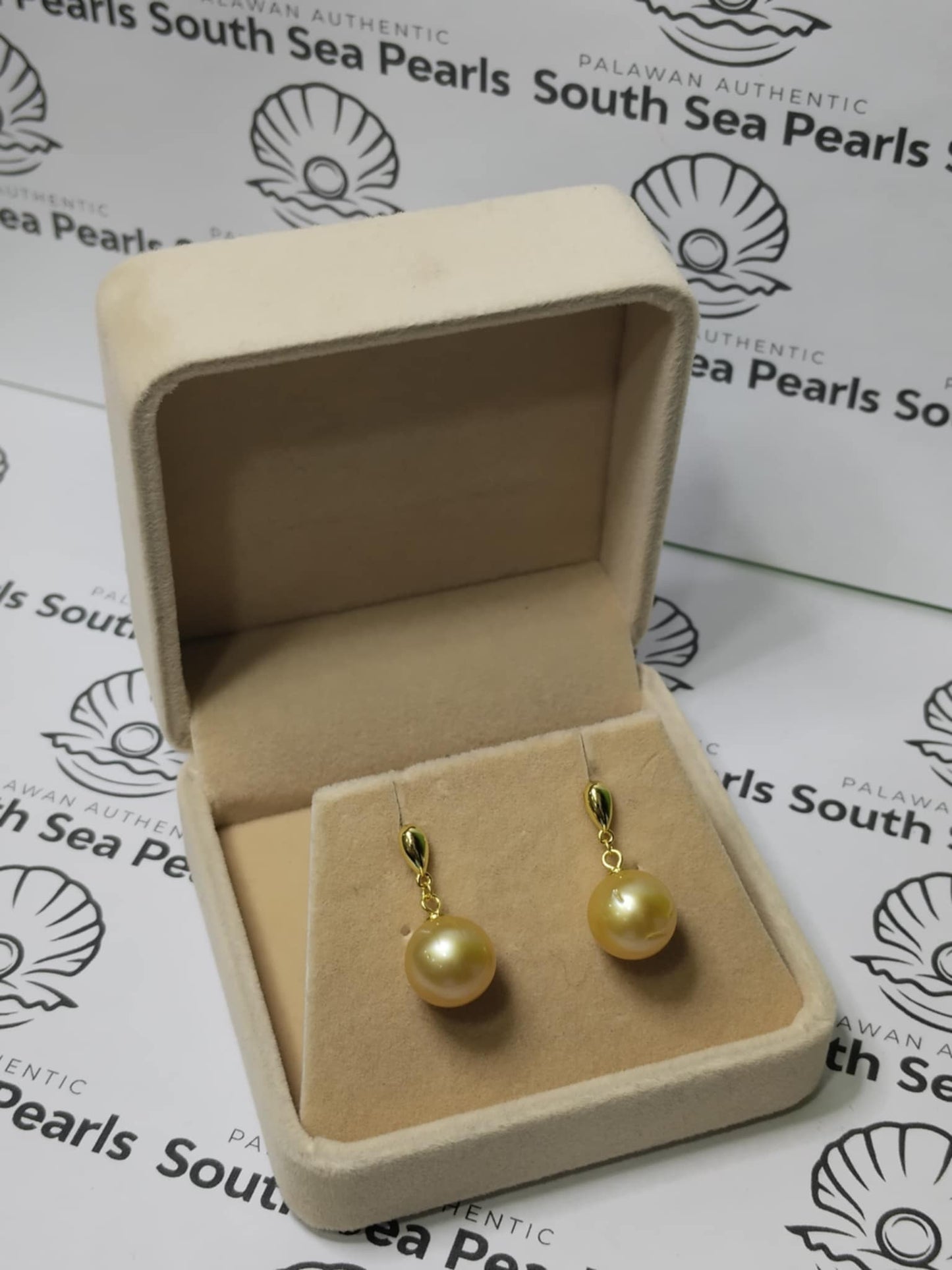 New Arrival! 10.7mm Authentic Golden Color South Sea Pearl Earrings in S925 Settings