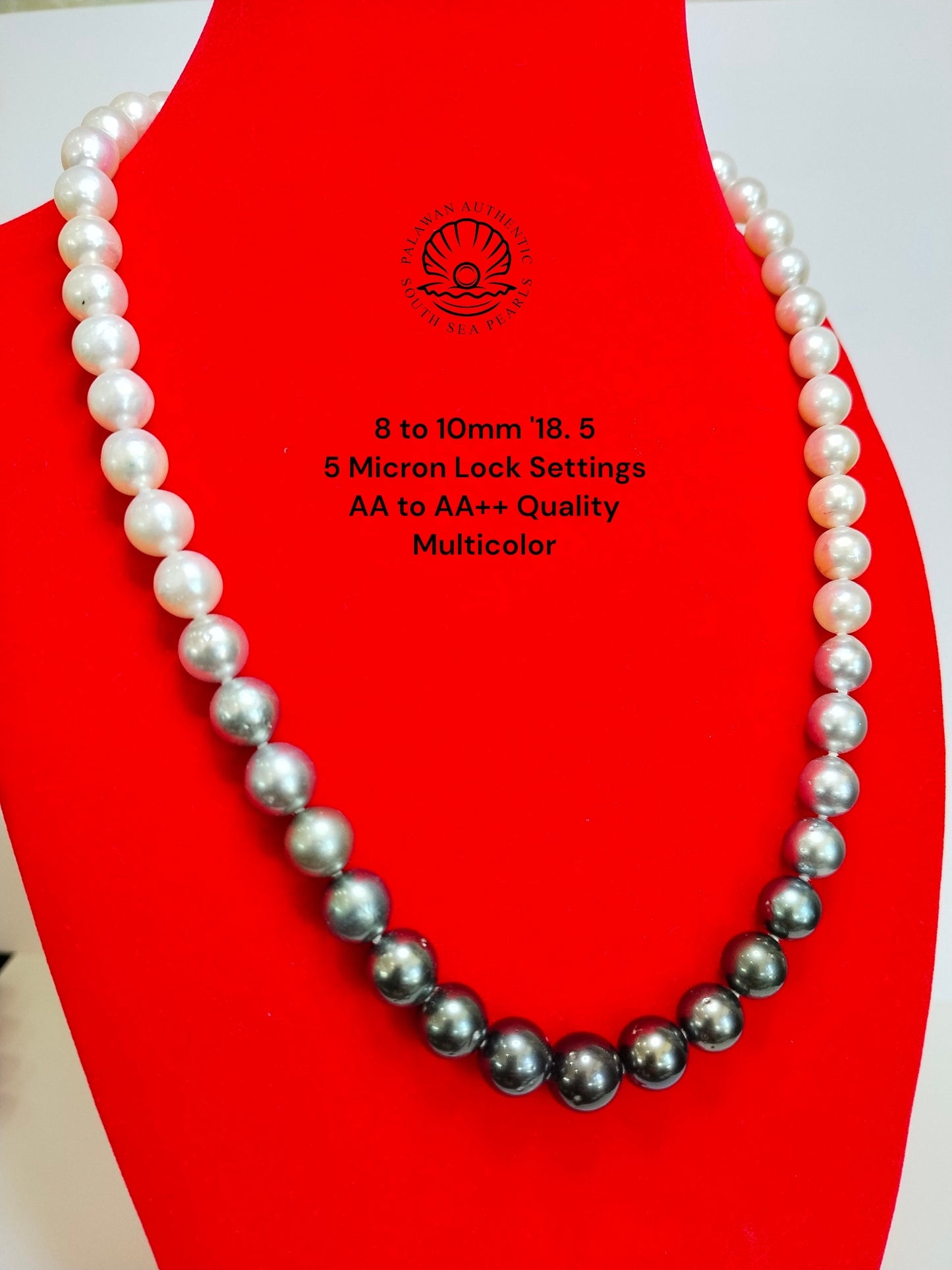 8 to 10mm Palawan Authentic Multicolor South Sea Pearl Choker in 5 Micron Lock Settings