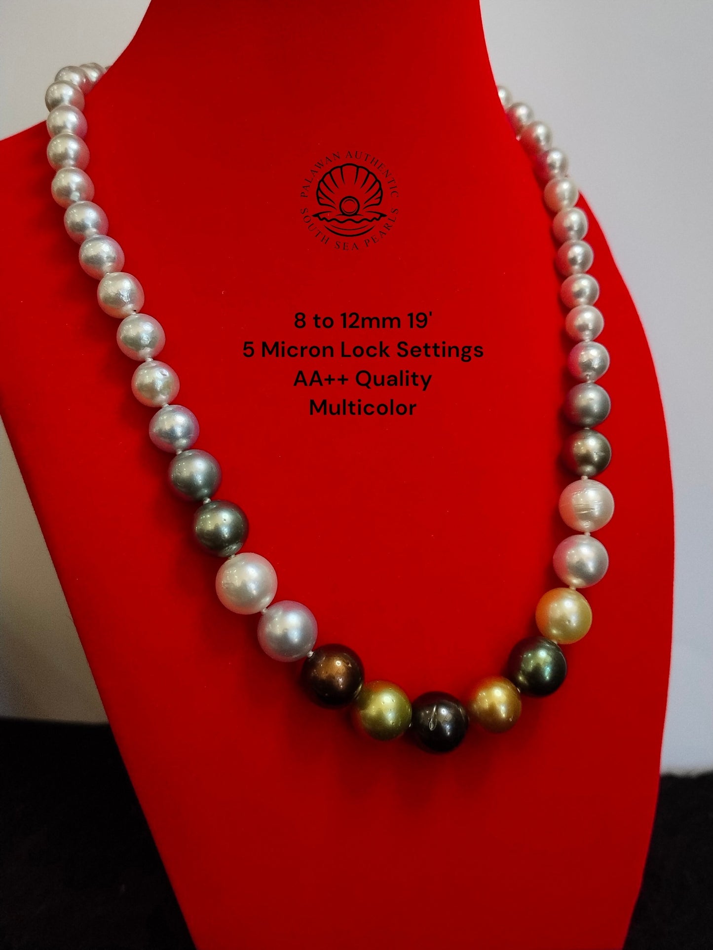 8 to 12mm Palawan Authentic Multicolor South Sea Pearl Choker in 5 Micron Lock Settings