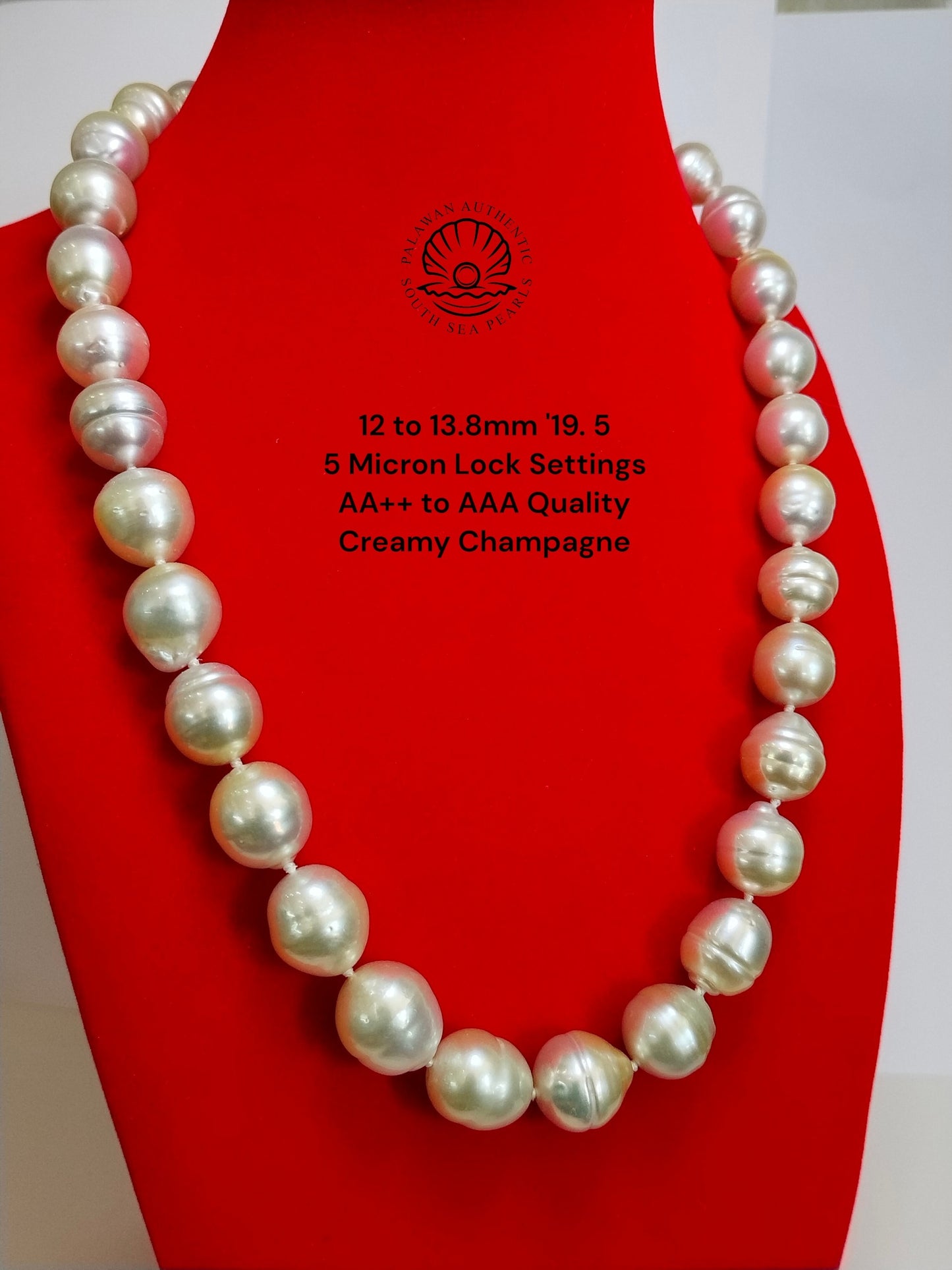12 to 13.8mm Palawan Authentic Creamy Champagne Color South Sea Pearl Choker in 5 Micron Lock Settings