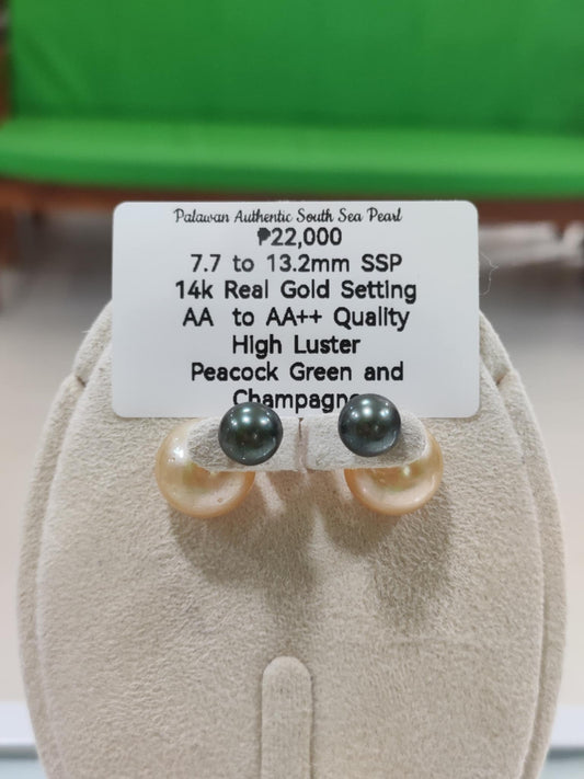 7.7mm to 13.2mm Authentic Peacock Green & Champagne Color South Sea Pearls Earrings in 14k Gold Settings