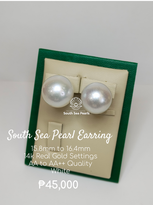 15.8mm to 16.4mm Palawan Authentic White Color South Sea Pearl Earring in 14k Real Gold Settings