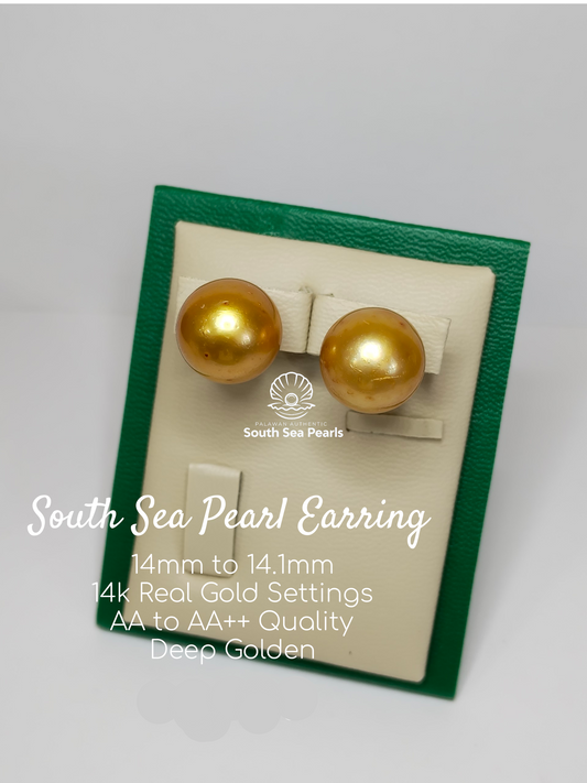 14mm to 14.1mm Palawan Authentic Deep Golden Color South Sea Pearl Earring in 14k Real Gold Settings