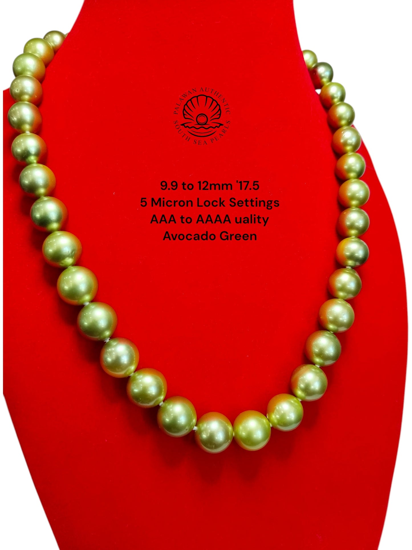 9.9 to 12mm Palawan Authentic Avocado Green Color South Sea Pearl Choker in 5 Micron Lock Settings