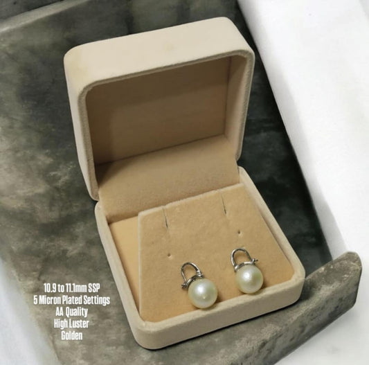 New Arrival! 10.9 to 11.1mm Authentic Golden Color South Sea Pearl Earrings in 5 Micron Plated Settings