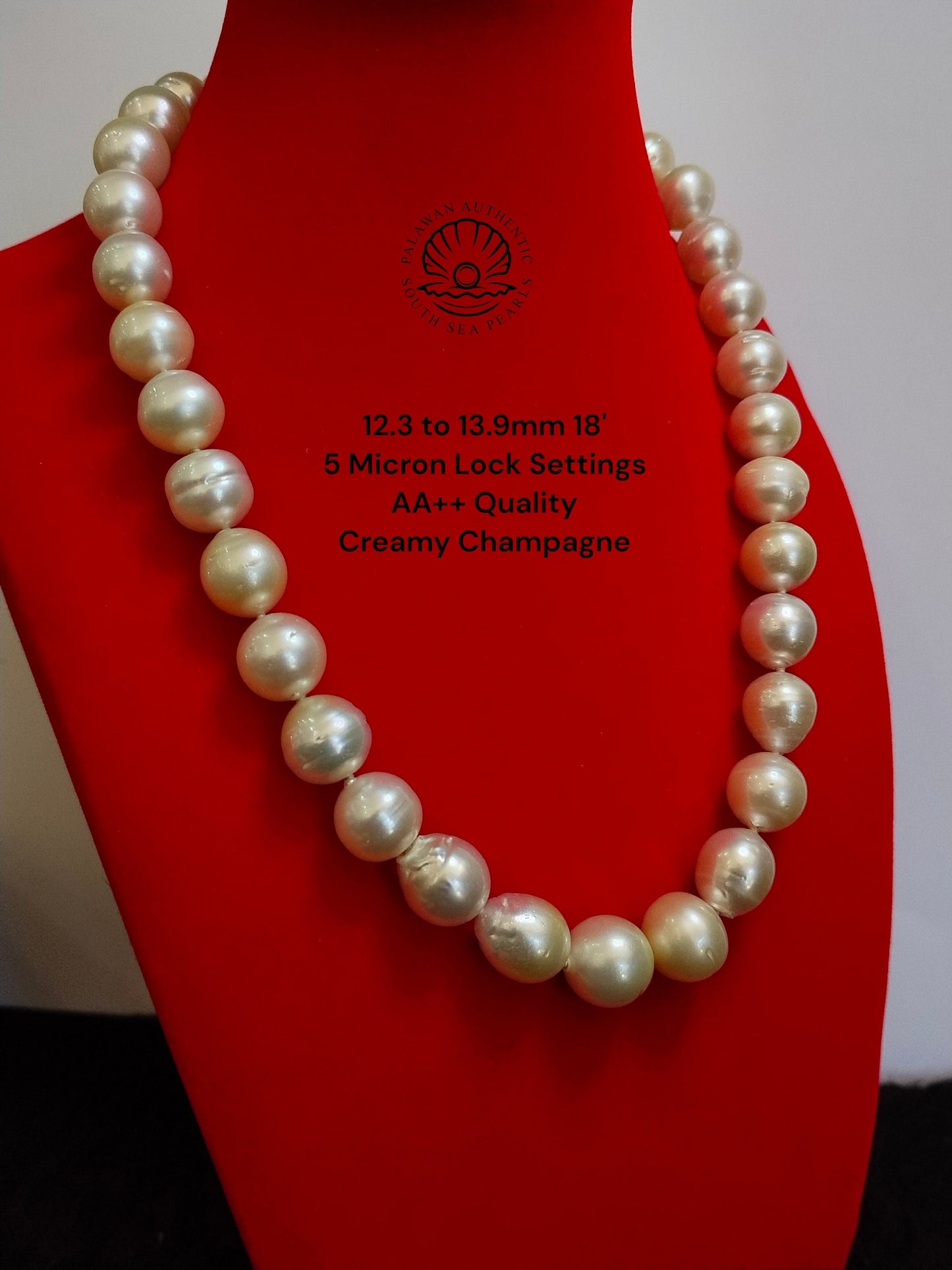 12.2 to 13.9mm Palawan Authentic Creamy Champagne Color South Sea Pearl Choker in 5 Micron Lock Settings