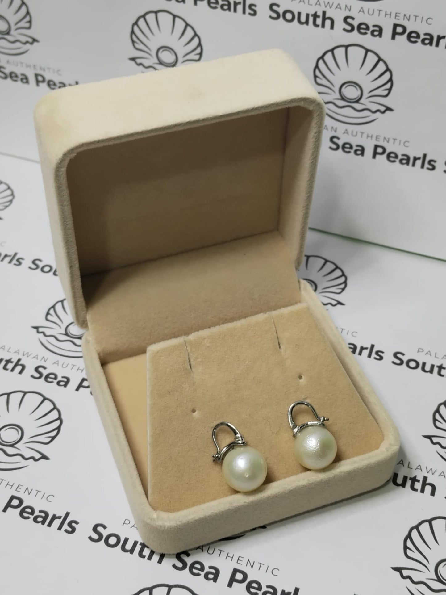 New Arrival! 10.9 to 11.1mm Authentic Golden Color South Sea Pearl Earrings in 5 Micron Plated Settings