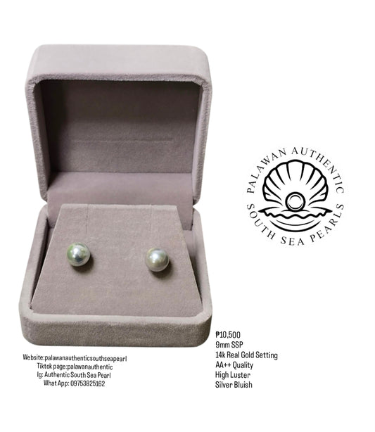 New Arrival! 9mm Authentic Silver Bluish Color South Sea Pearl Earring in 14k Real Gold Setting
