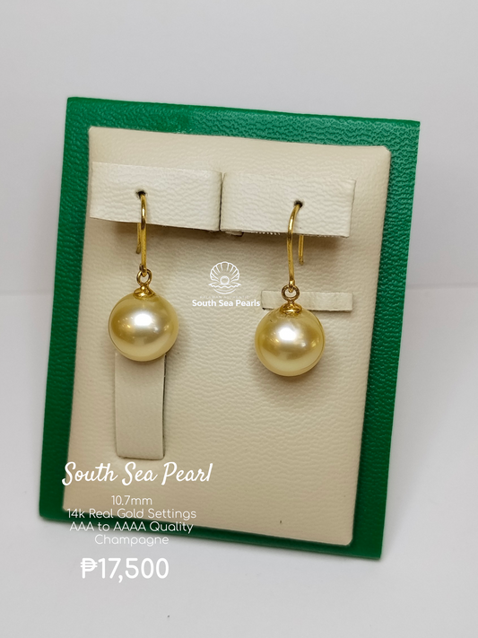 10.7mm Palawan Authentic Champagne Color South Sea Pearl Earrings in 14k Real Gold Settings