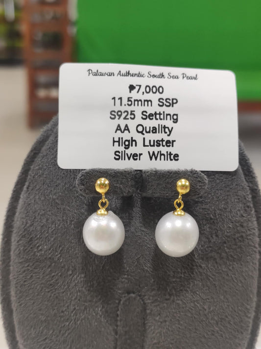 11.5mm Authentic Silver White South Sea Pearls Earrings in S925 Settings