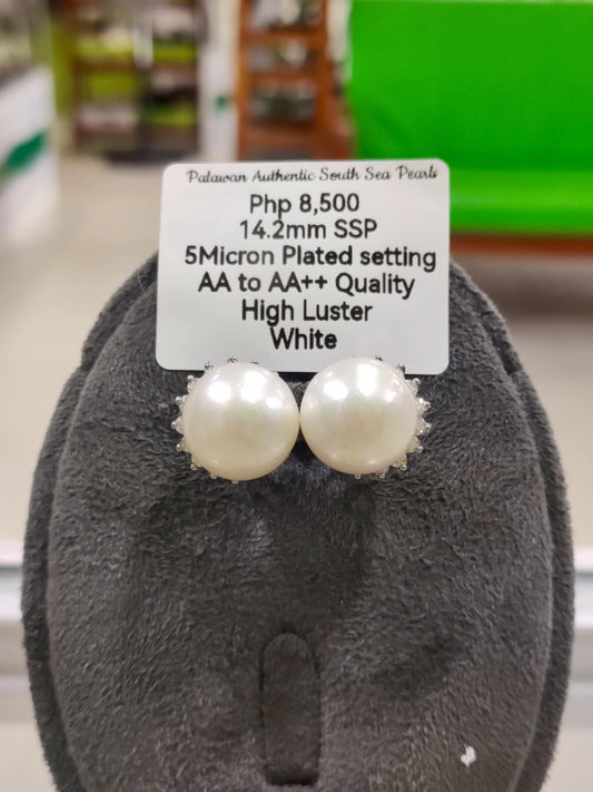 14.2mm Authentic White South Sea Pearls Earrings in 5 Micron Plated Settings