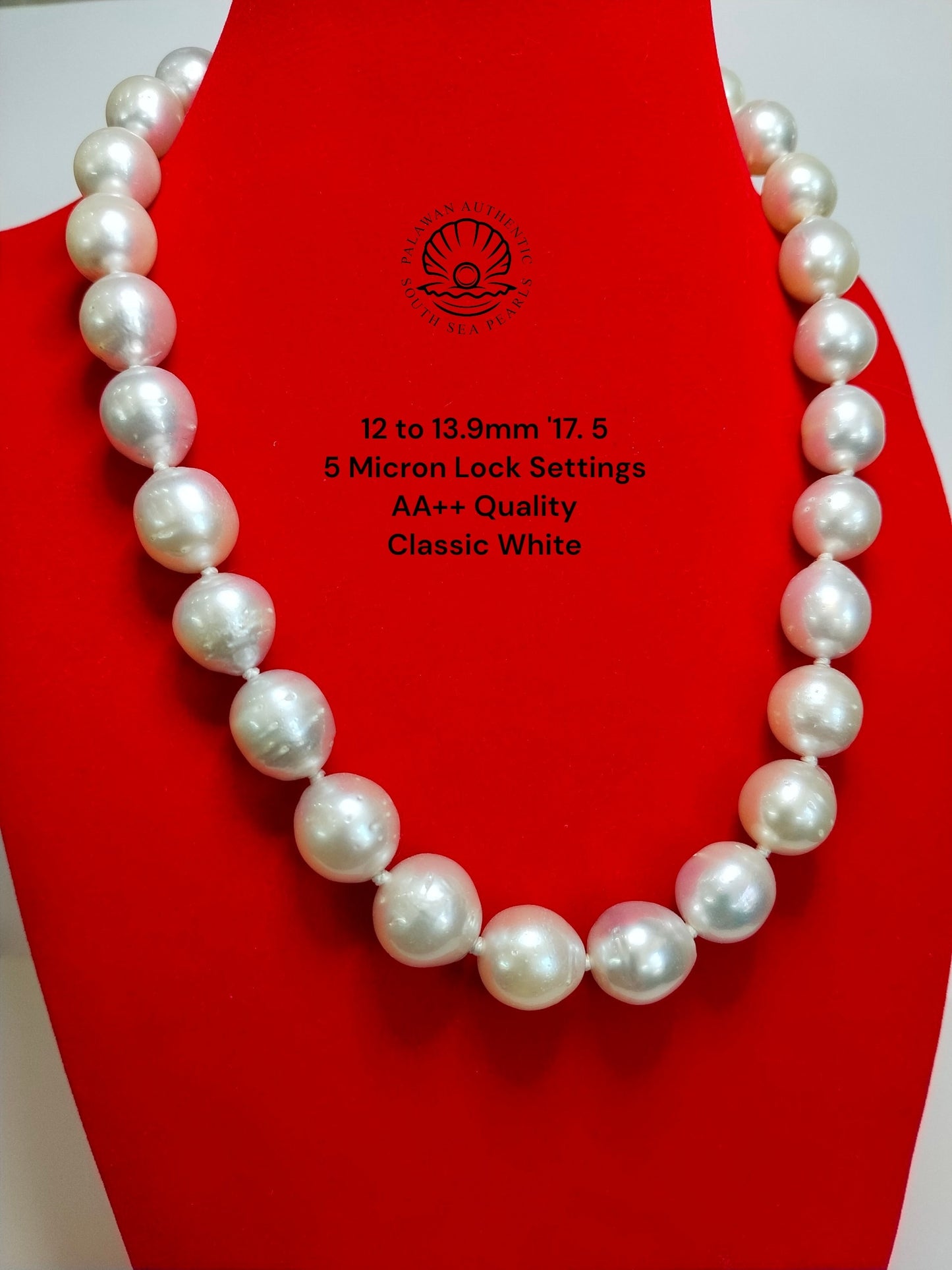 12 to 13.9mm Palawan Authentic Classic White Color South Sea Pearl Choker in 5 Micron Lock Settings